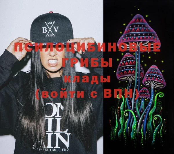 мдпв Алексин