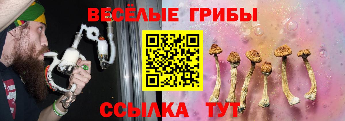 Галлюциногенные грибы прущие грибы Алексин